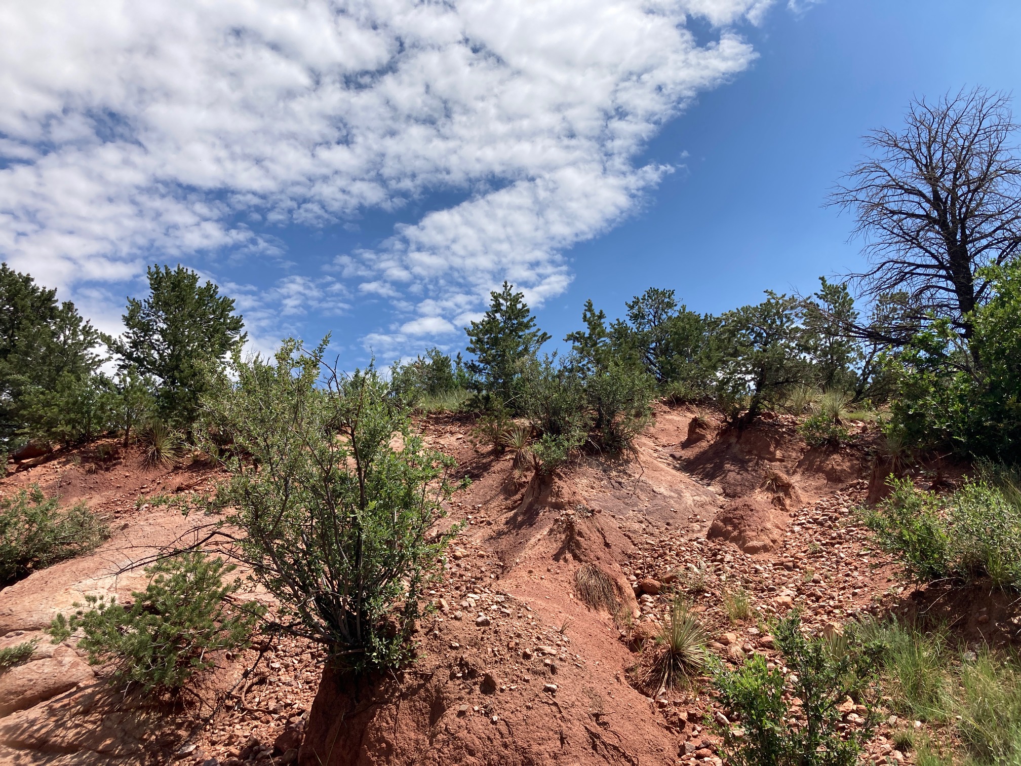 RARE MANITOU SPRINGS BESTVIEW RESIDENTIAL SUBDIVISION